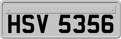 HSV5356