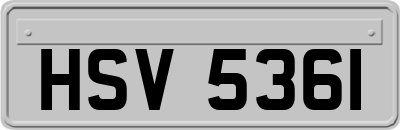 HSV5361