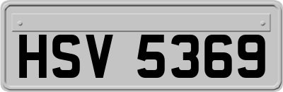 HSV5369