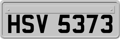 HSV5373