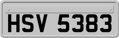 HSV5383