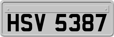 HSV5387