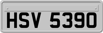 HSV5390