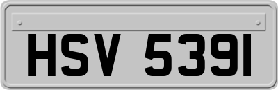 HSV5391
