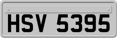 HSV5395