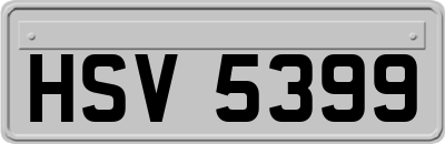 HSV5399
