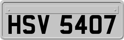 HSV5407