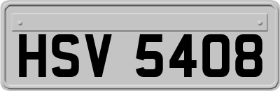 HSV5408
