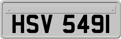 HSV5491