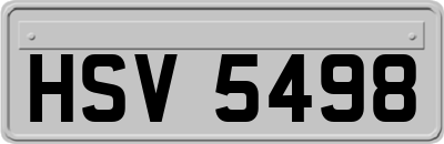HSV5498