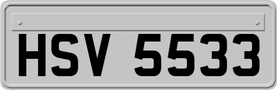 HSV5533