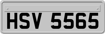 HSV5565