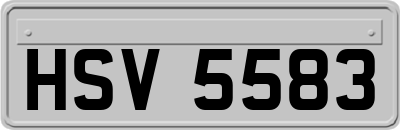 HSV5583