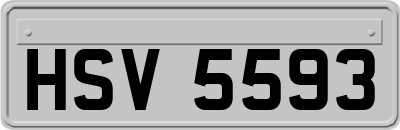 HSV5593