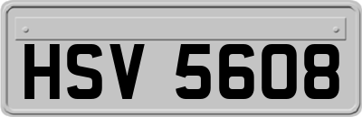HSV5608
