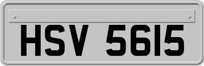 HSV5615