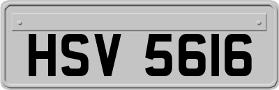 HSV5616