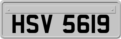 HSV5619