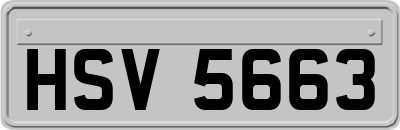HSV5663
