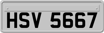 HSV5667