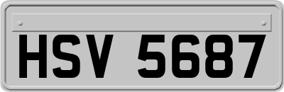 HSV5687