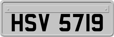 HSV5719