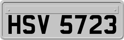 HSV5723