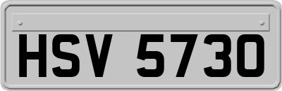HSV5730