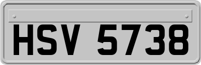 HSV5738