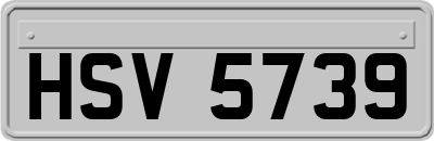 HSV5739
