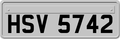 HSV5742