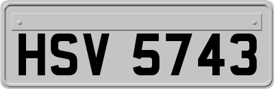 HSV5743