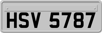 HSV5787