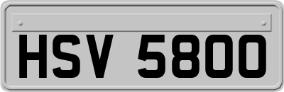 HSV5800