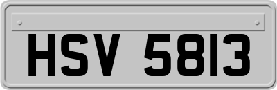 HSV5813