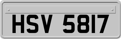 HSV5817