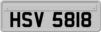 HSV5818
