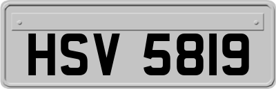 HSV5819