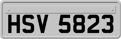 HSV5823