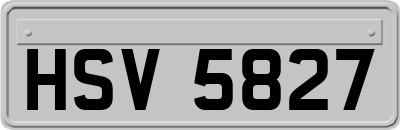 HSV5827