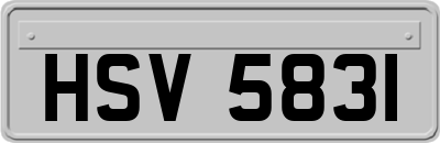 HSV5831