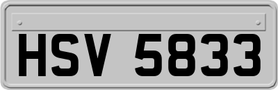 HSV5833