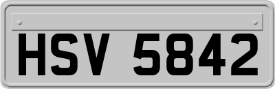 HSV5842
