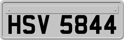HSV5844