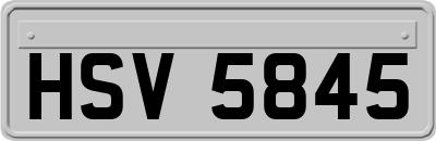 HSV5845