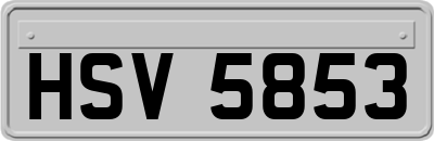 HSV5853