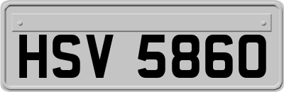 HSV5860