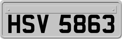 HSV5863