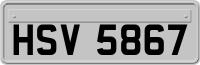 HSV5867