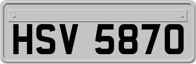 HSV5870